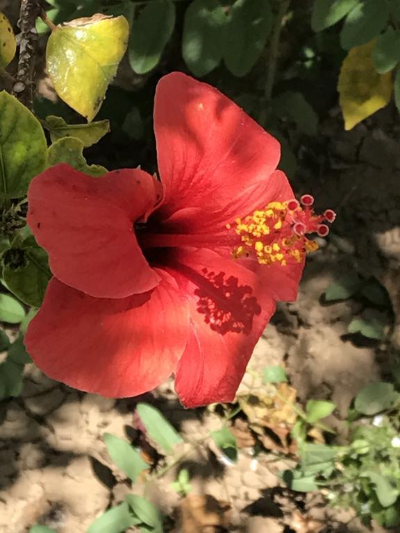 B&B Garzia Marinella  Kültér fotó